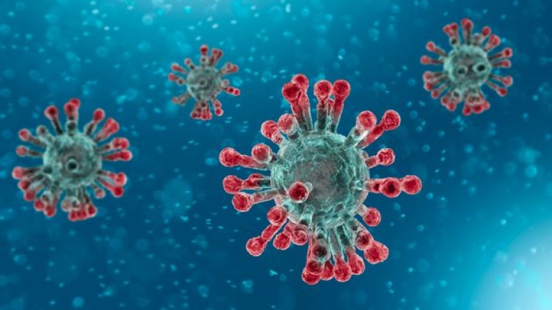 What is Coronavirus (COVID-19)?