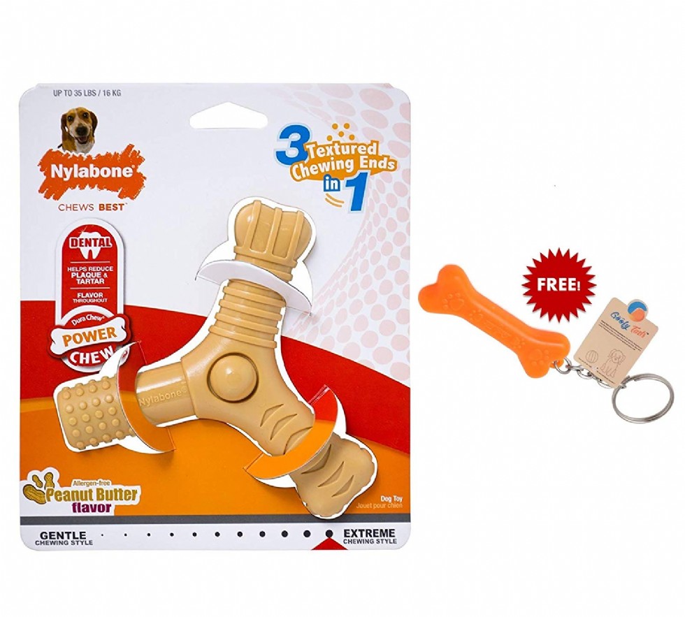 The Nylabone 3-Prong Chew Toy with Peanut Butter