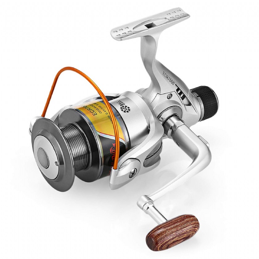 Fishing Reels Closeout Learn or Ask About Fishing Reels Closeout Tepte