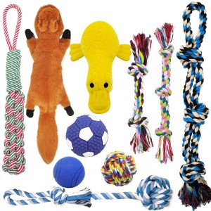 indestructible dog teddy