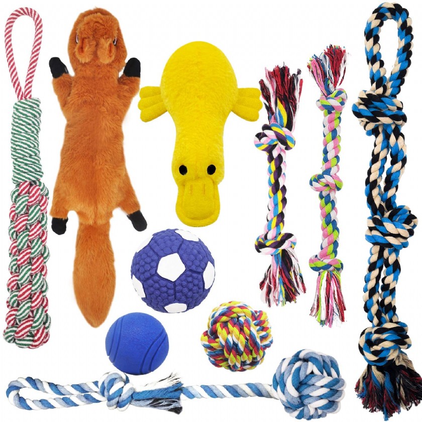 Most Indestructible Dog Toys Learn or Ask About Most Indestructible