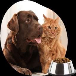 Logo for Pets Foods Los Angeles