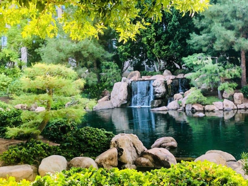 10 Best Things to Do in Phoenix in 2023