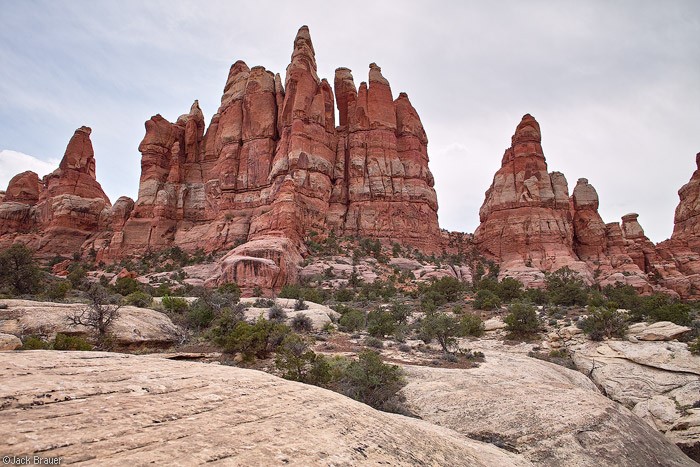 Canyonlands National Park, The Needles