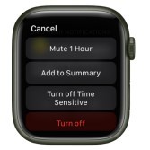 Change notification settings directly on Apple Watch