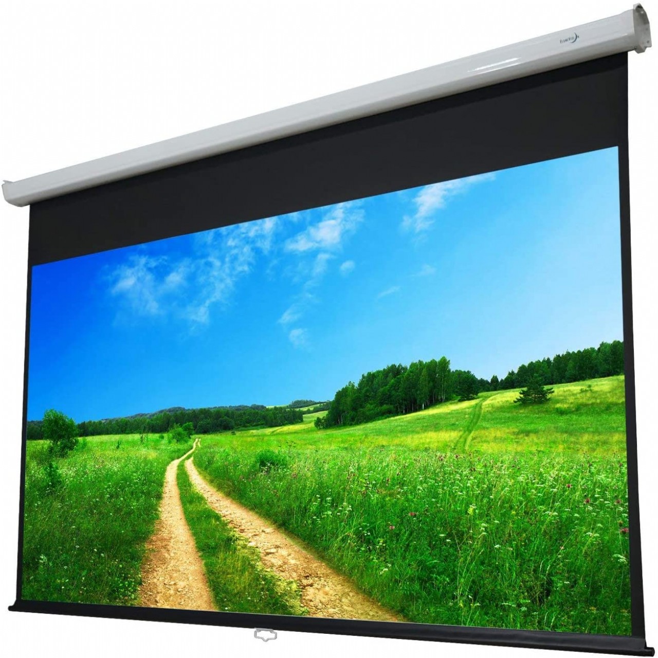 EluneVision EV-M2-106-1.2 Projection Screen