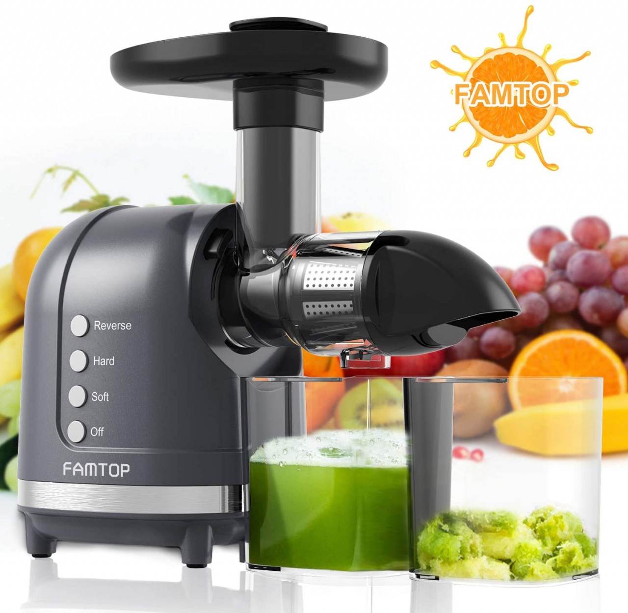 FAMTOP Slow Masticating Juicer Extractor with Reverse Function Quiet