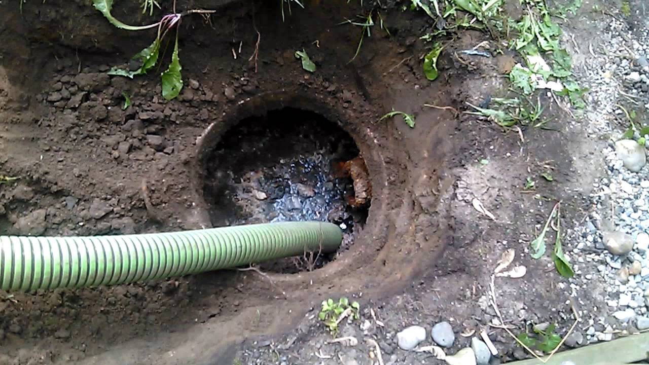 How can I tell if my sewer line is clogged or damaged, and what should I do about it?