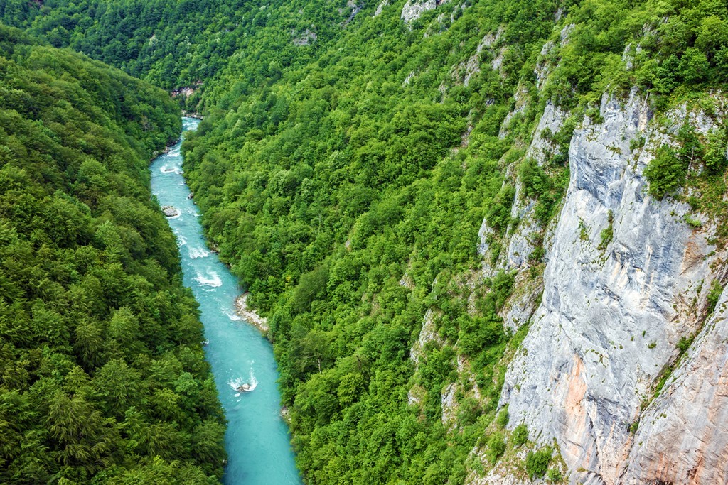 Nestled in the heart of Montenegro, the Tara River Canyon