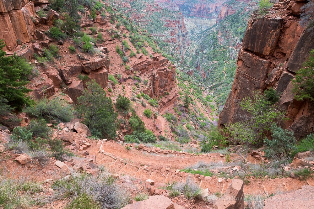 North Kaibab Trail, Grand Canyon, Arizona