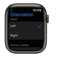 Switch wrists or Digital Crown orientation