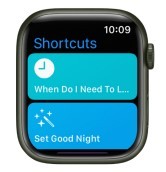 Use shortcuts on Apple Watch